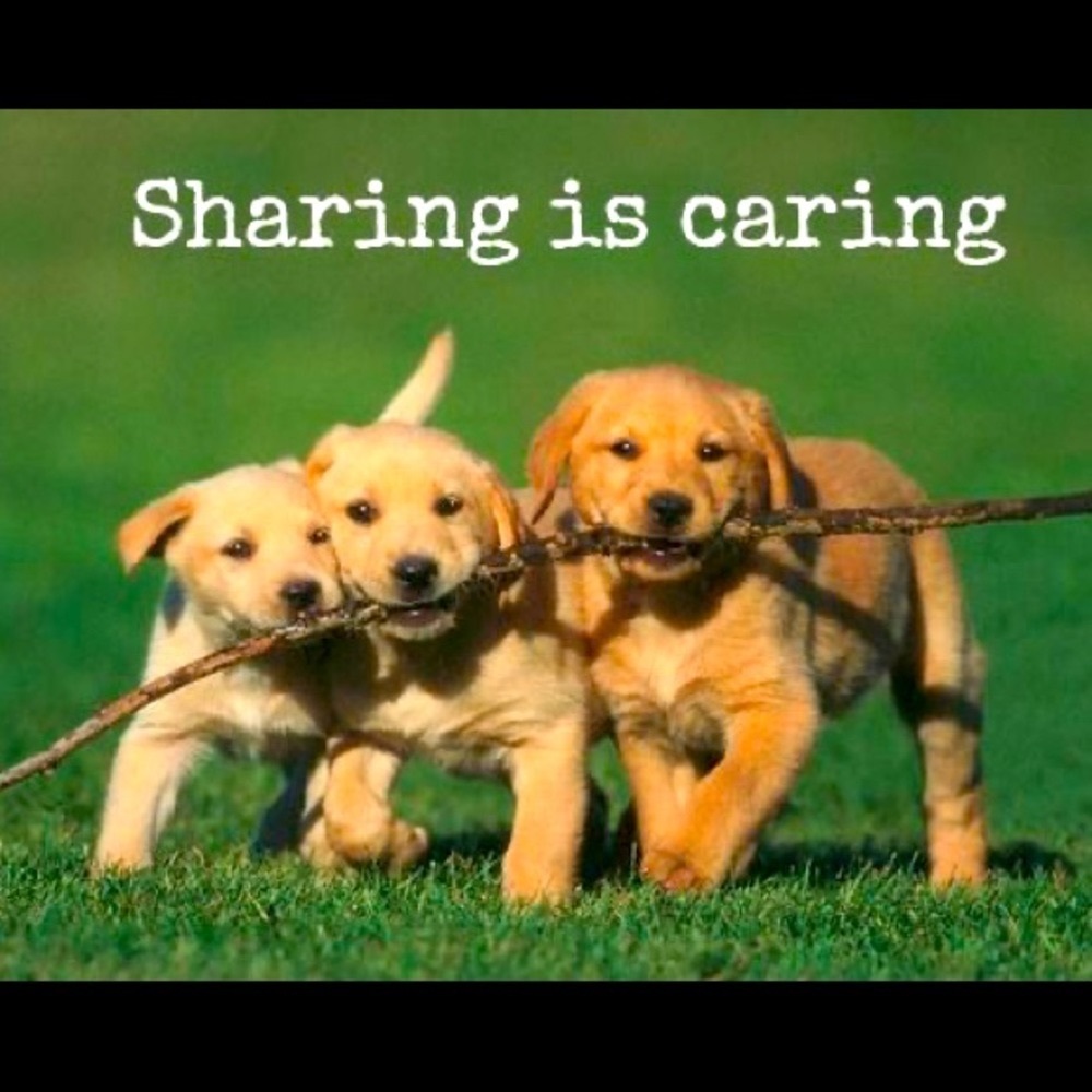 Spreading the LOVE 💕